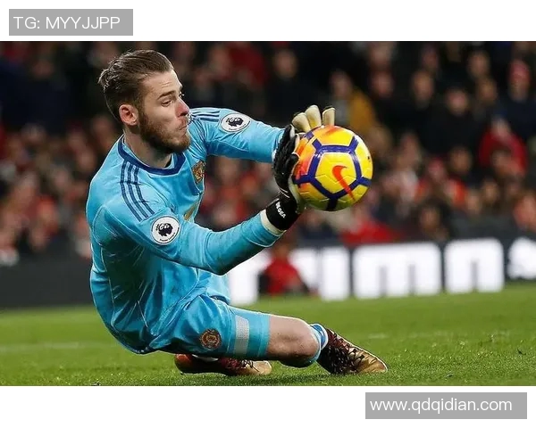 英超世界锦标赛特别报道北京排球队奋勇拼搏的辉煌历程与成就 英超世界锦标赛特别报道北京排球队奋勇拼搏的辉煌历程与成就