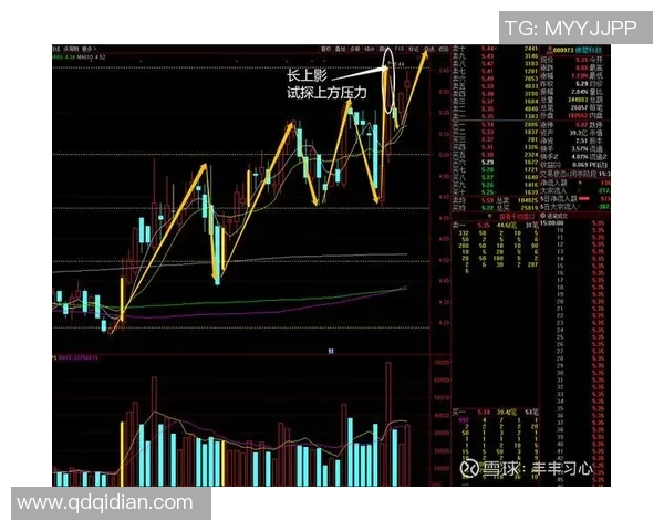 深圳排球队与成都排球队赛后复盘分析比赛节奏及战术执行情况